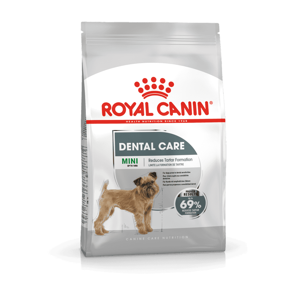Dental Care Mini