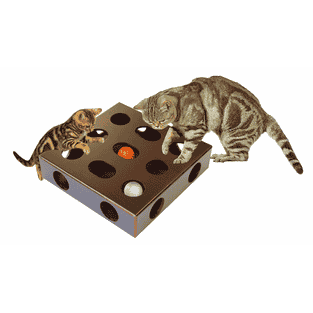 Katzenspielbox mit Ball