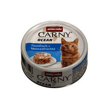 Carny Ocean Adult Cat