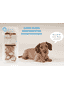 Kalbs Loops for Small Dogs
