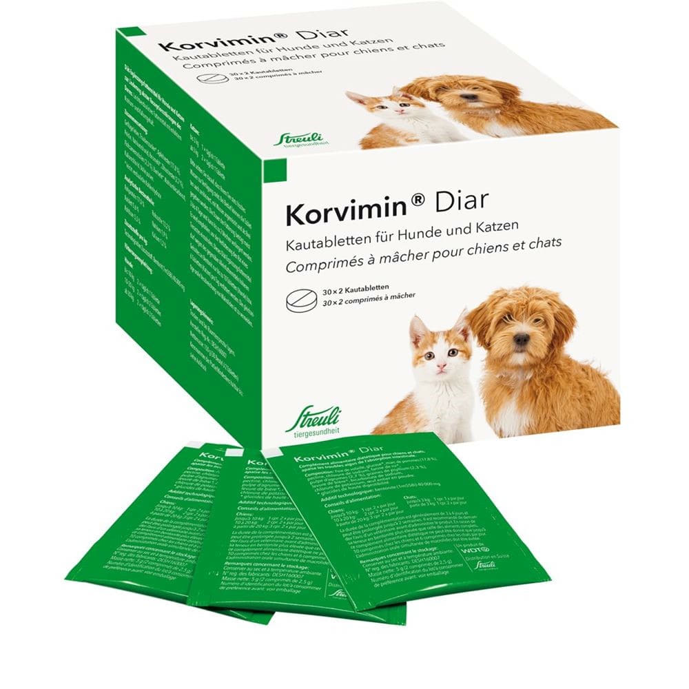Korvimin Diar