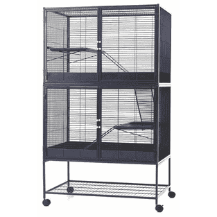 Cage à rats Suite Royale