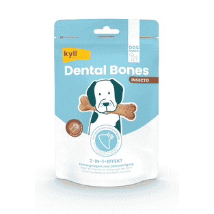 Dental Bones Insecto