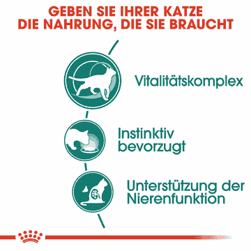 Instinctive 7+ in Sauce - Frischebeutel
