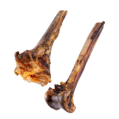 Tibia d'autruche