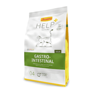 GastroIntestinal Cat dry