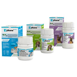 Zylkene Plus