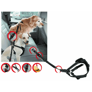Ceintures de sécurité DogSafe