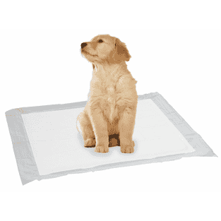 Puppy Pads