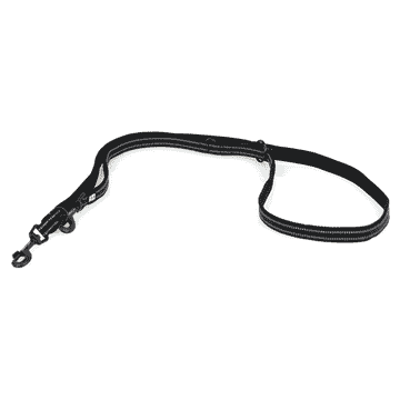 Leash Varberg