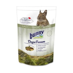 Degu Traum BASIC