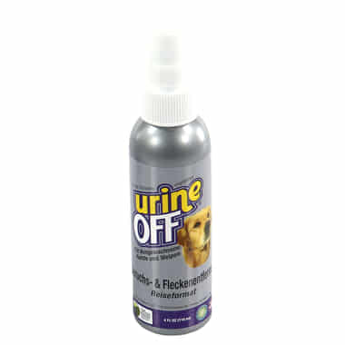 Urine off dog