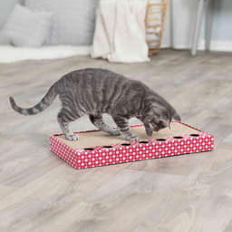 Carton à gratter avec jouet Rose