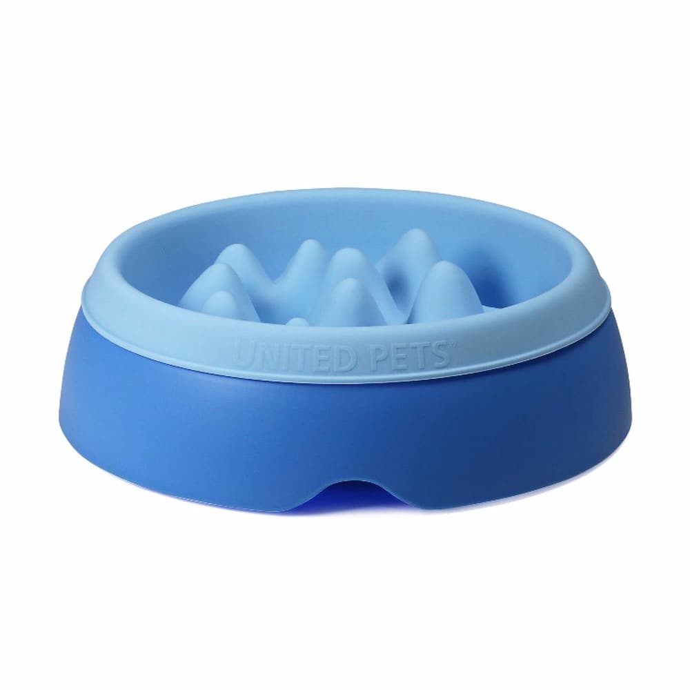 2in1 dog bowl K2