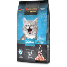 Kitten avec Volaille