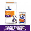 Canine u/d Urinary Care