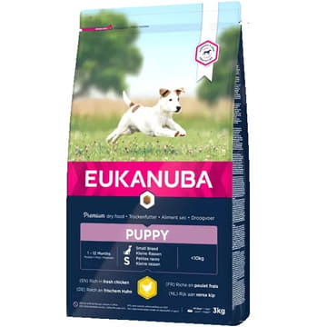 Puppy Small Breed