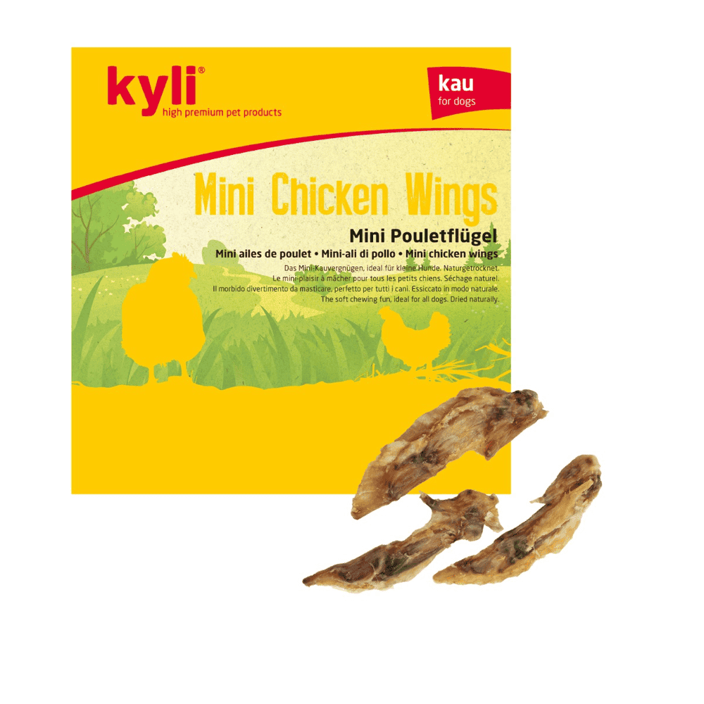 Mini Chicken Wings