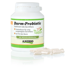 Probiotique intestinal