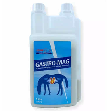 Gastro Mag