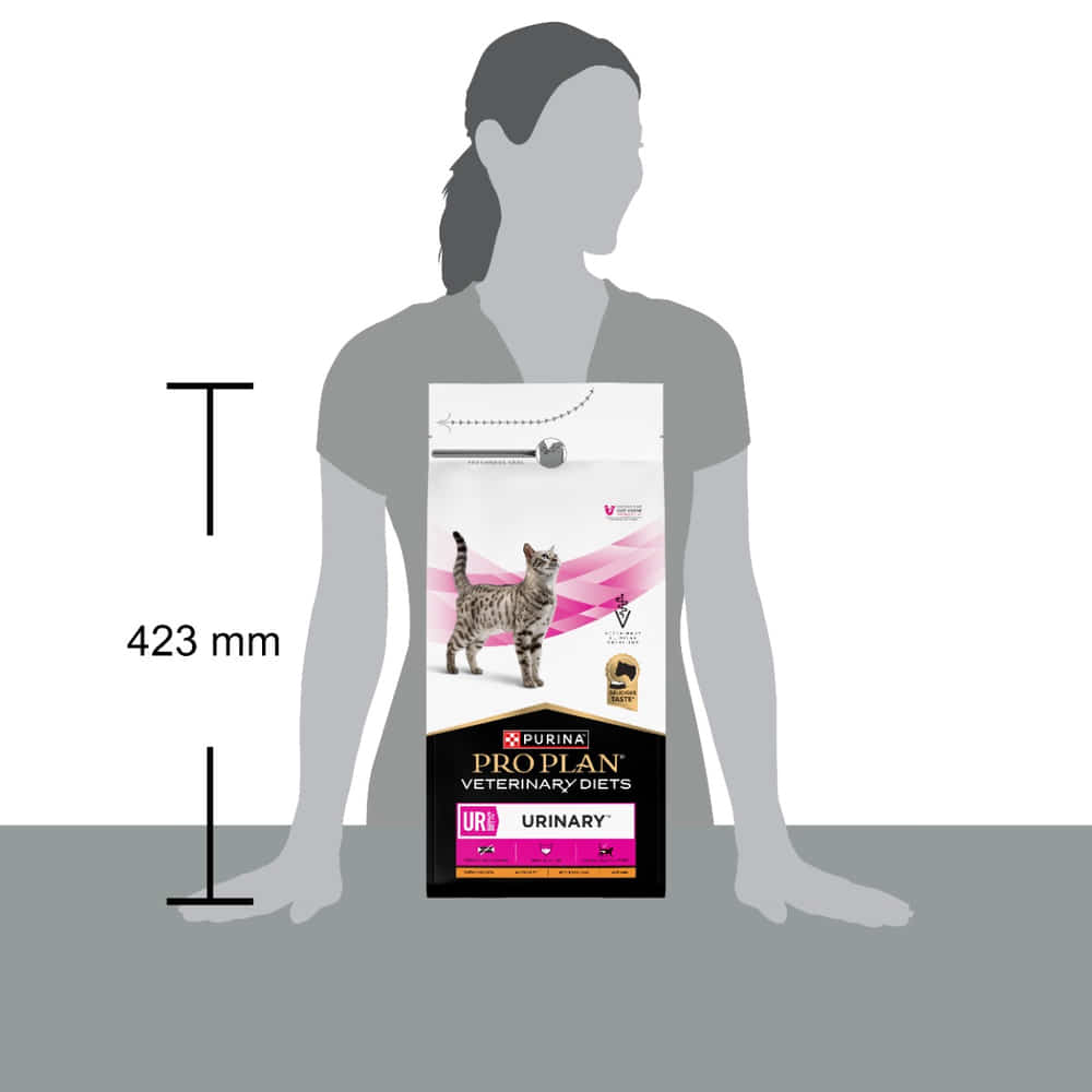 FELINE UR St/Ox Urinary