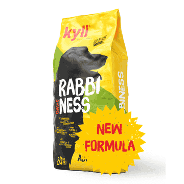Rabbiness