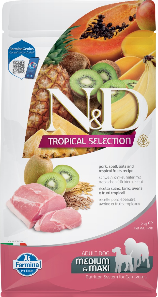 Canine Adult Medium/Maxi Porc