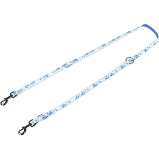 Bluestar &amp; Fantasy lead, white