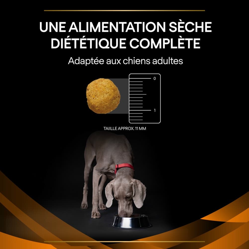 CANINE OM Obesity Management