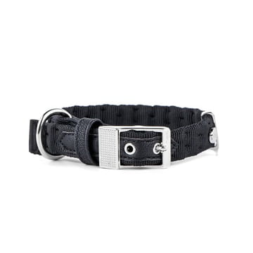 Milano Halsband Nylon für Hunde in schwarz