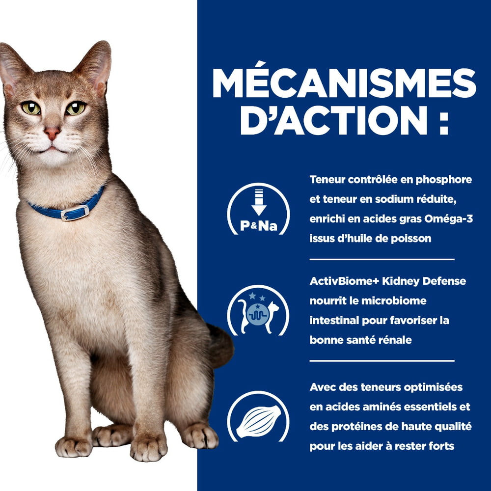 Feline k/d Kidney Care Salmon - Sachet