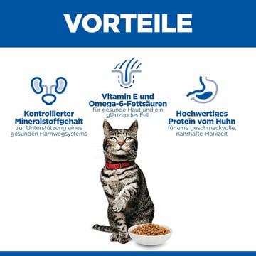 Feline Urinary Health