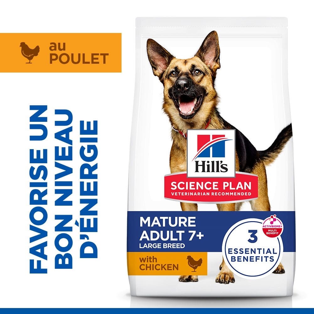 Canine Mature Adult 6+ Large Breed