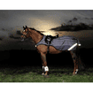 Riding rug Amigo Reflectech Comp Sheet