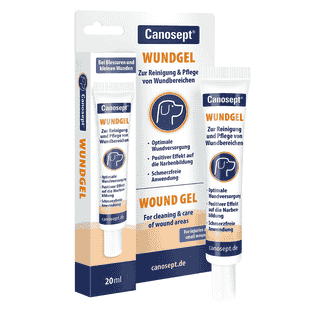 Gel cicatrisant pour chiens