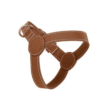 Signature Leather Harness