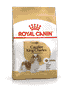 Cavalier King Charles