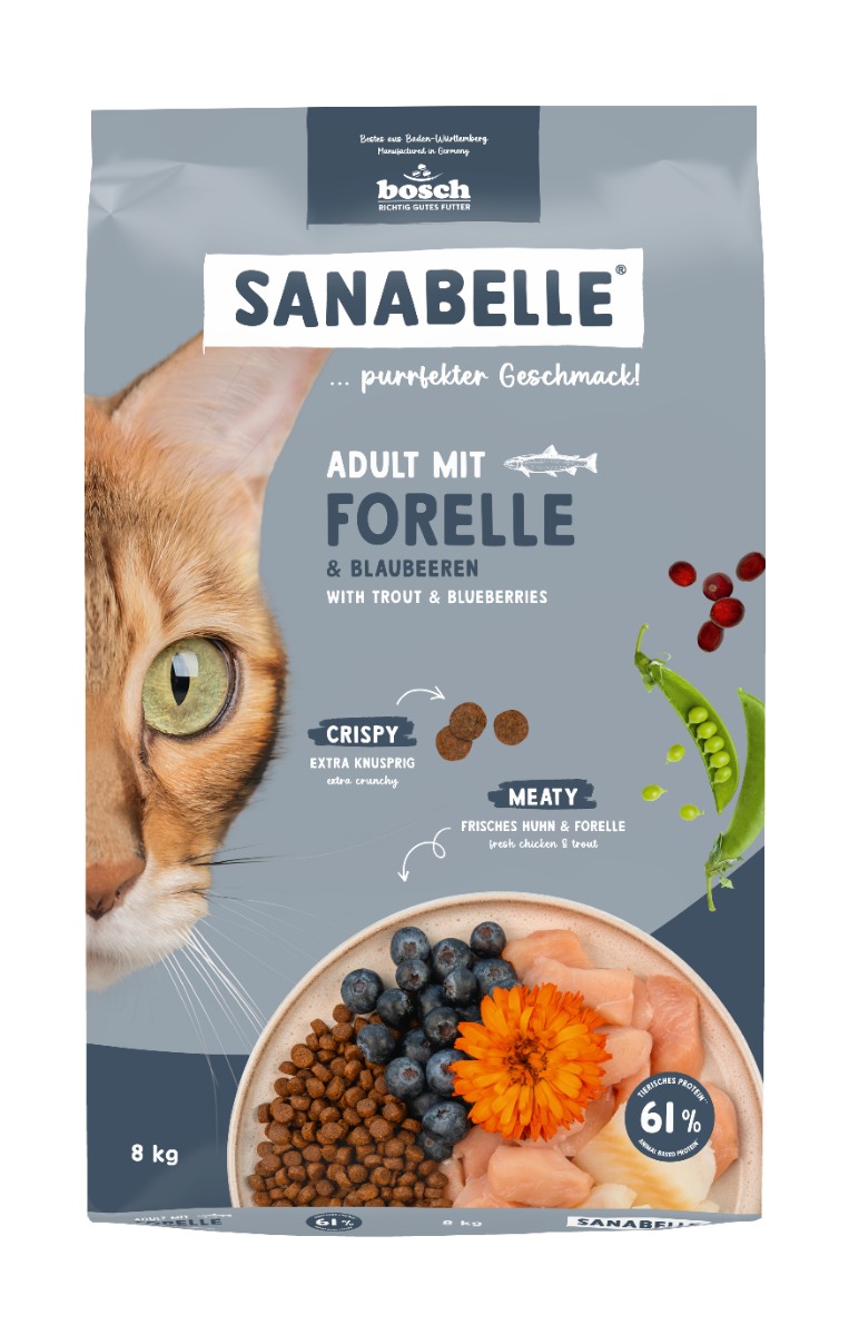 Adult Forelle