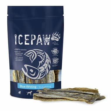 Dog Blue Whiting