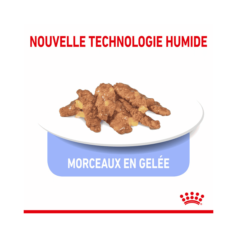 Indoor Sterilised Cat en gelée - sachet
