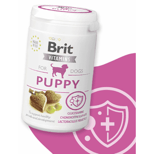 Vitamins Dog Puppy