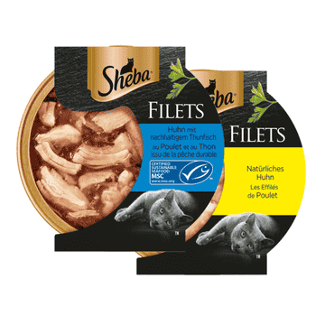 Feine Filets in Sauce