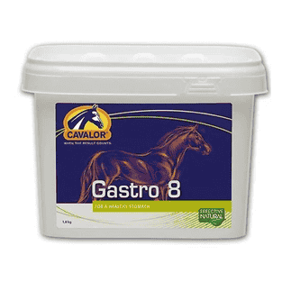 Gastro 8