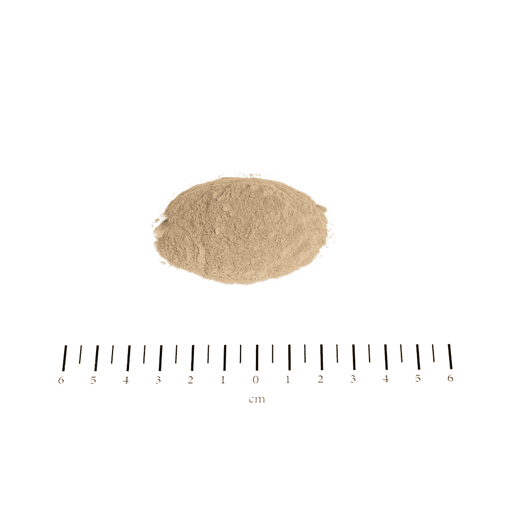 Biotin Forte en Poudre