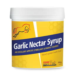 Garlic Nectar Syrup