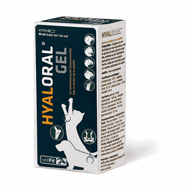 Hyaloral Gel