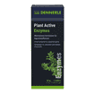 Plant Active Enzymes