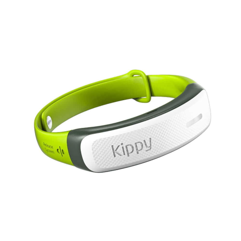 CAT GPS Collar for Cats, Version 2