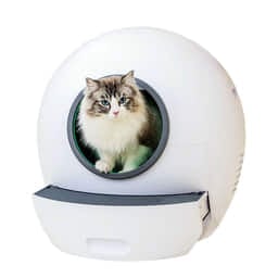 Caisse fermée pour chats CLB1