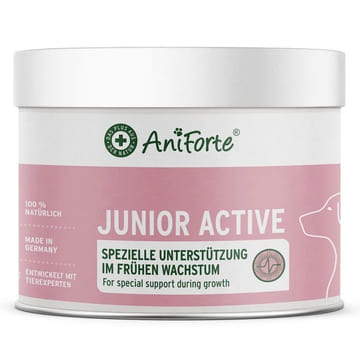 Junior Active